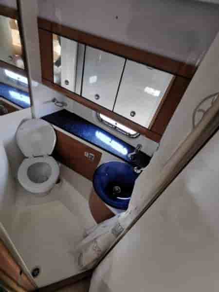 SEALINE 39 SC - View 14