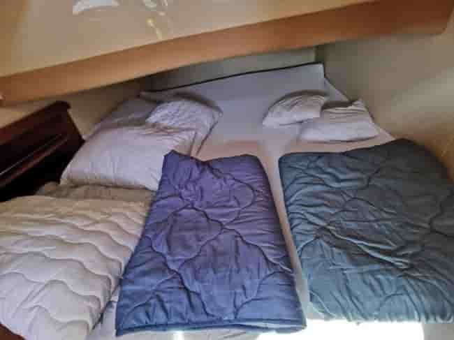 SEALINE 39 SC - View 9