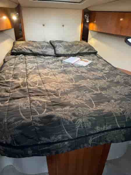 CRUISERS YACHTS 330 - View 19