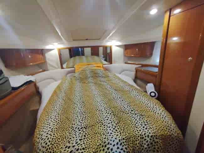 SEALINE F37 - View 13