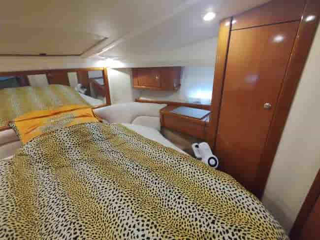 SEALINE F37 - View 14