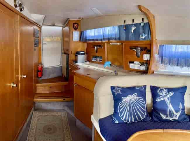 SEALINE 290 - View 10