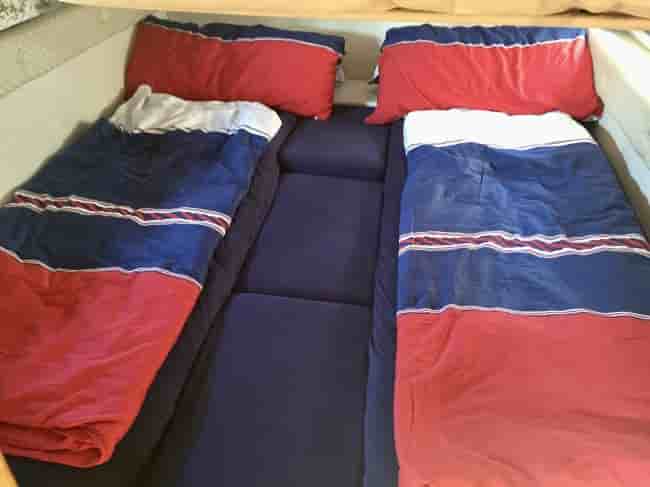 SEALINE 290 - View 13