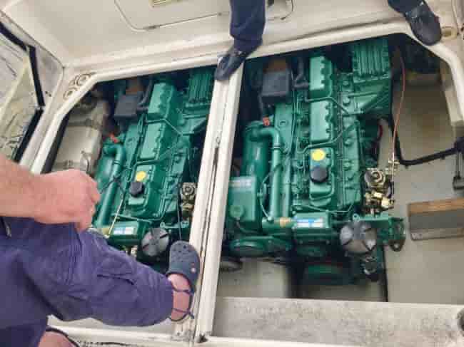 SEALINE 290 - View 14