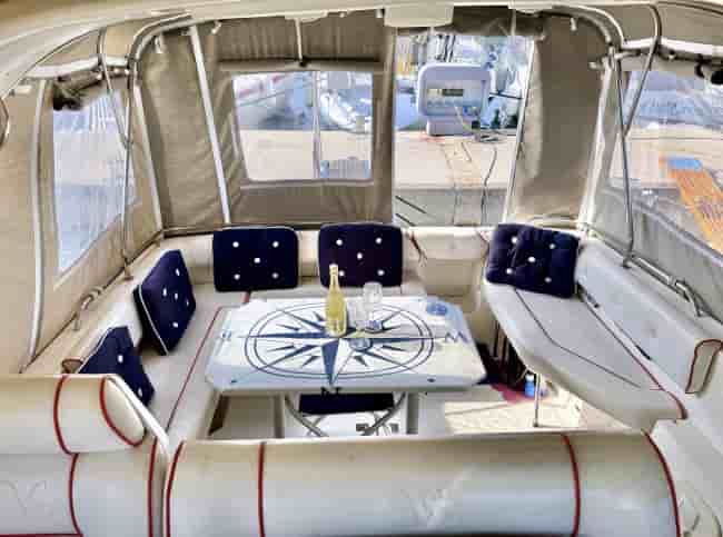 SEALINE 290 - View 5