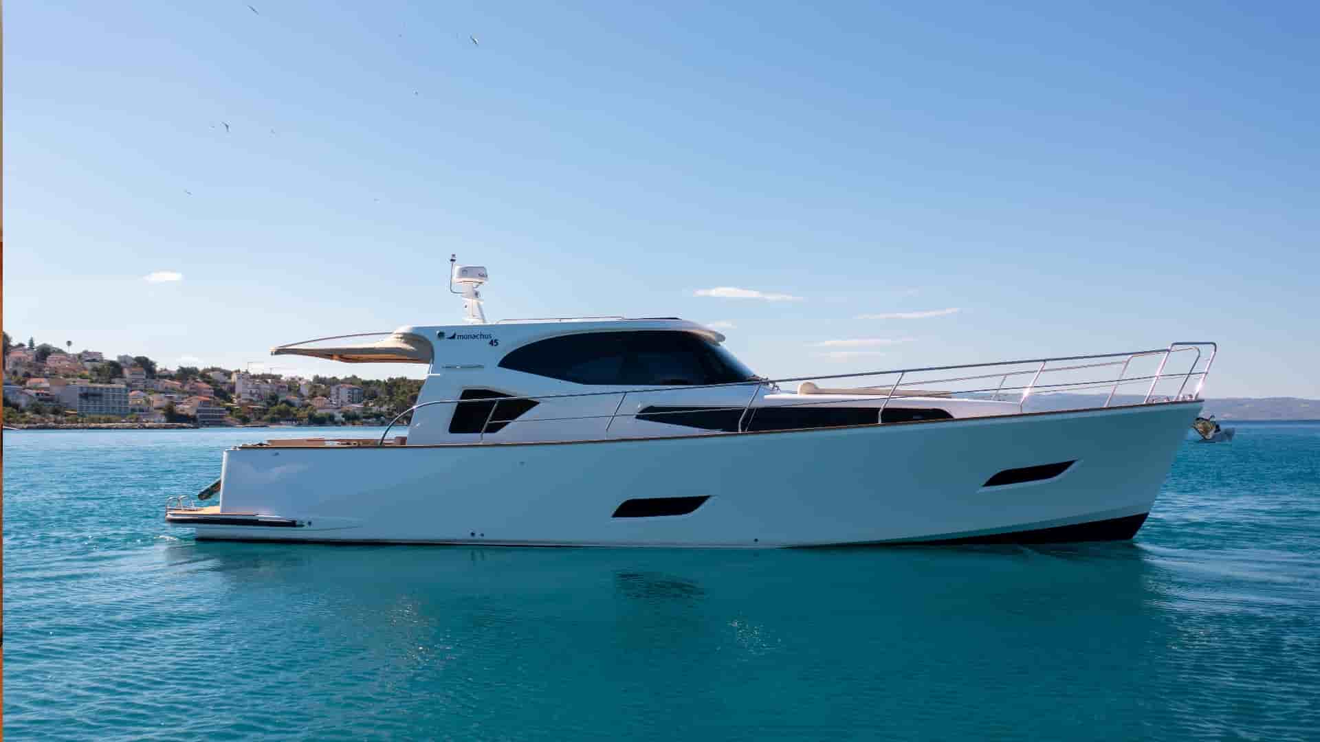 Monachus Issa - View 3