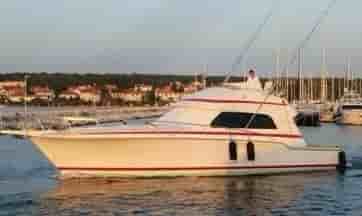 Bertram 54 fly - View 9