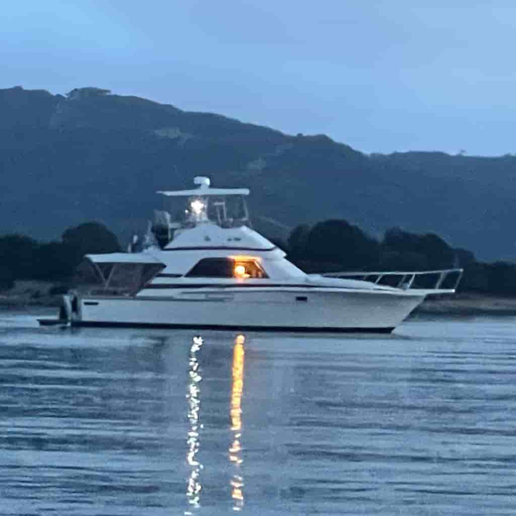 1987 Bertram 37 Convertible - View 2