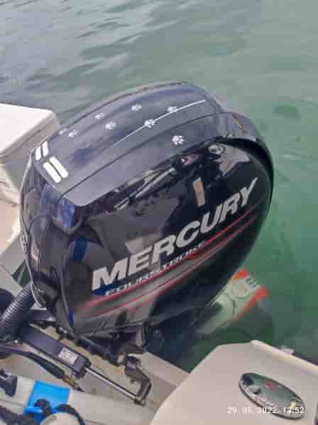 QUICKSILVER 605 PILOTHOUSE - View 8