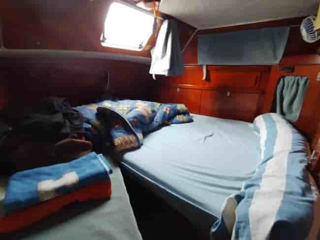 AMEL SHARKY - View 15