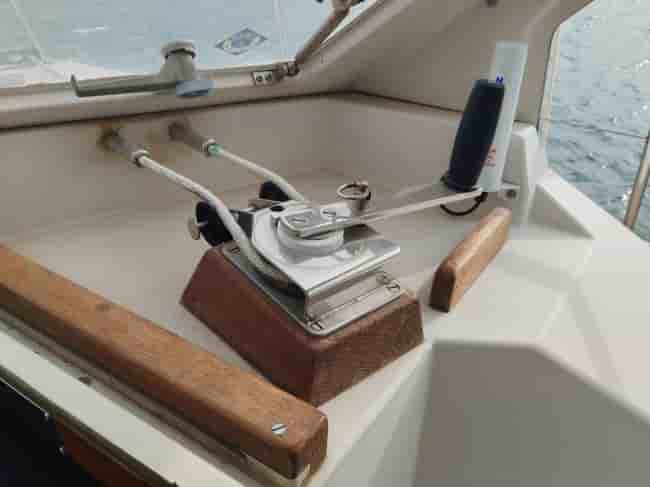 AMEL SHARKY - View 4