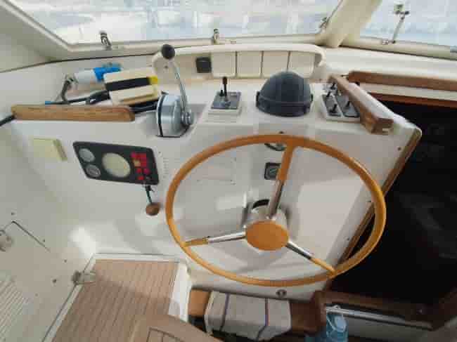 AMEL SHARKY - View 5