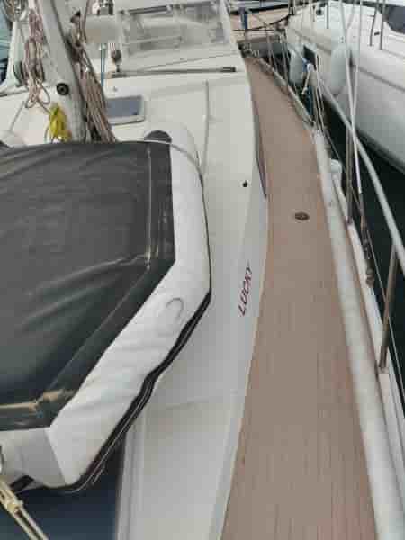 AMEL SHARKY - View 6