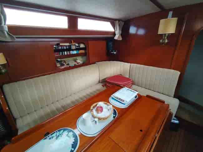 AMEL SHARKY - View 9